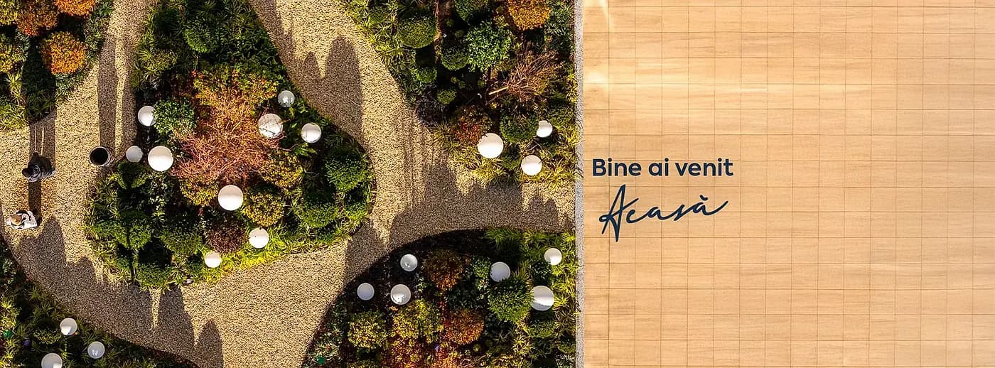 Stadiu asociatie Cortina North - imagine comunitate